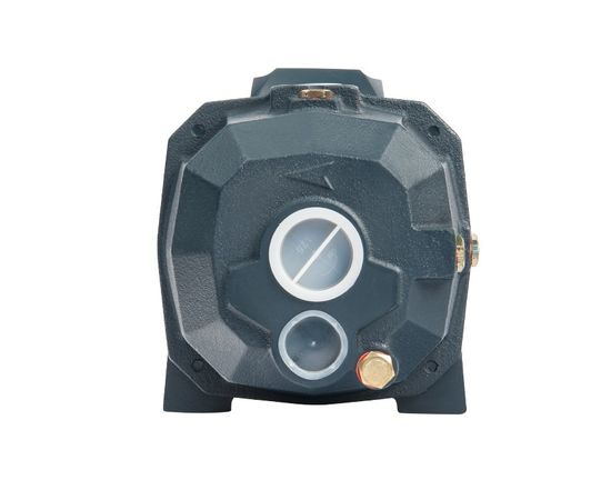 Поверхностный насос  UNIPUMP DP 750